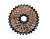 Кассета Shimano CS-HG20, 9скоростей, 11-34