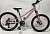 Велосипед 24" BOZGOO 2026 Bambino 11" light pink/pink